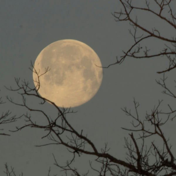 Fuldmåne spa - Rævsholm NatuSpa